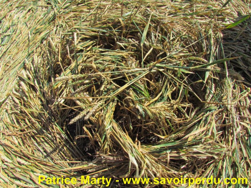 Etchilhampton (2), Wiltshire crop circle, aerial photo 37